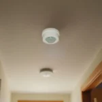 seva Sensor-1